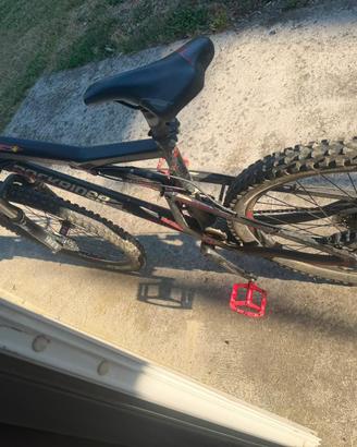 Bicicletta da DH