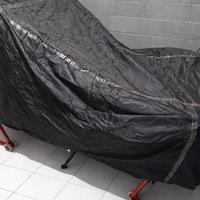 Benelli Leoncino 500 - 2022