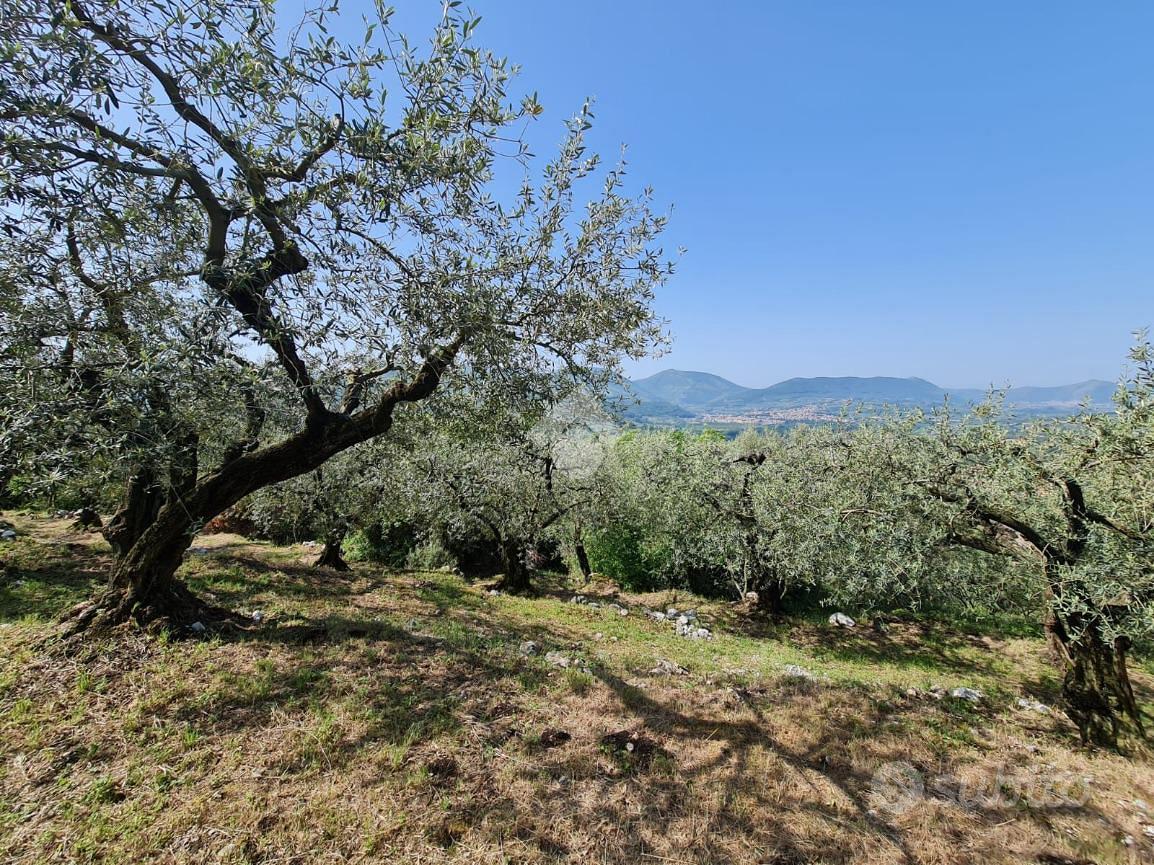 TER. AGRICOLO A SANT'AGATA DE' GOTI - Vista 2