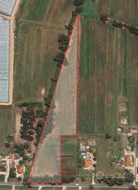 Sabaudia, 19.990 per 1,2 ha bio certificato