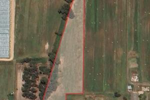 Sabaudia, 19.990 per 1,2 ha bio certificato