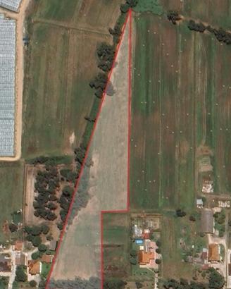 Sabaudia, 19.990 per 1,2 ha bio certificato