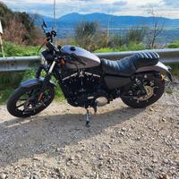 Harley-Davidson Sportster Iron 883 (2016) – Grigio