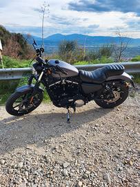 Harley-Davidson Sportster Iron 883 (2016) – Grigio