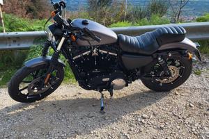 Harley-Davidson Sportster Iron 883 (2016) – Grigio