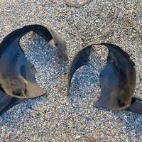 locari anteriori skoda fabia