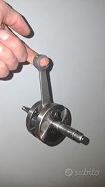 albero stage 6 c45 am6