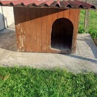 Casetta in legno per cani grandi