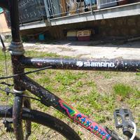 bicicletta Mountain bike 