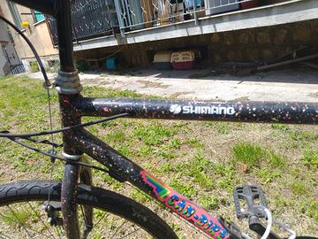 bicicletta Mountain bike 