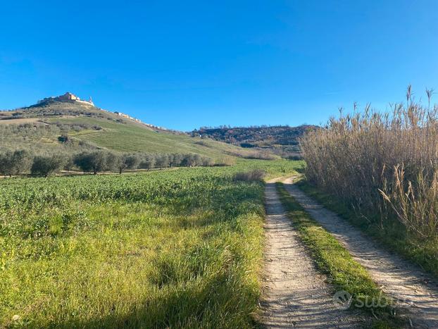 Azienda di 20 Ettari con Fabbricato rif.356