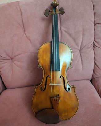 Violino