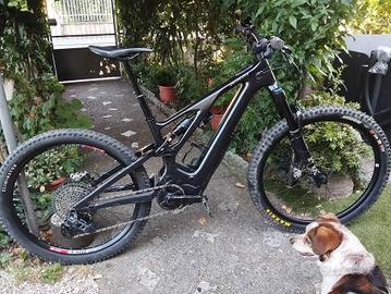 Specialized Turbo Levo exper carbon - tg S3