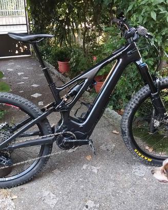Specialized Turbo Levo exper carbon - tg S3