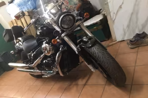 M 800 intruder
