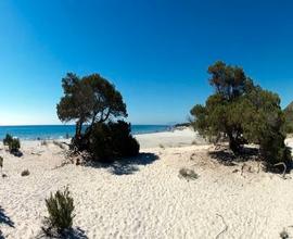 Goditi il periodo più bello in Sardegna