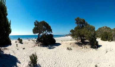 Goditi il periodo più bello in Sardegna