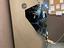 Immagine 6