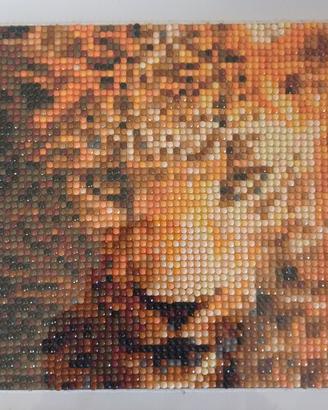 Daiamond painting