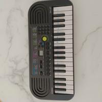 CASIO SA 47