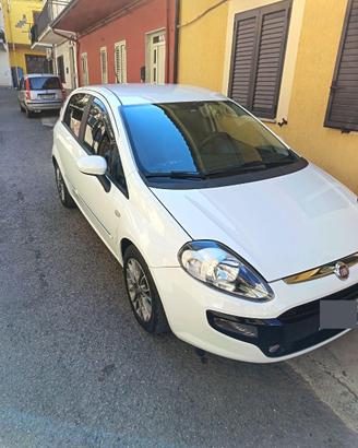 Punt evo