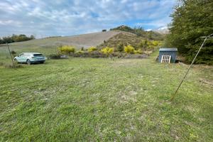 Terreno agricolo a Ponticelli Imola