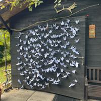 Fondale origami per foto, cerimonia, matrimonio