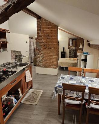 Loft in mansarda
