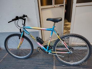 bicicletta mtb 
