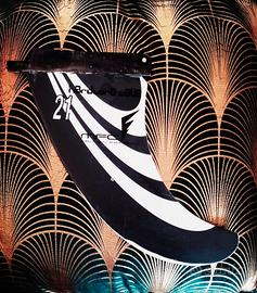 pinna Windsurf Wave MFC 21 US box