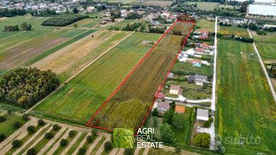 Terreno agricolo pianeggiante di 2 ettari