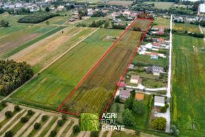 Terreno agricolo pianeggiante di 2 ettari