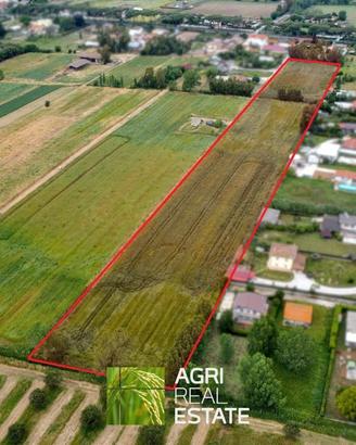 Terreno agricolo pianeggiante di 2 ettari