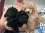 Immagine 6
