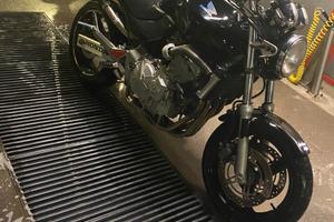 Honda hornet
