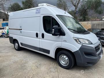 Fiat Ducato Isotermico #2371