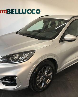 FORD Kuga 1.5 EcoBlue 120 CV aut. ST-Line