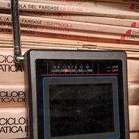 Televisore LCD portatile Roadstar ctv-902 vintage