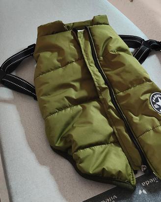 Cappottino invernale per cane piccola taglia