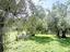 Immagine 18