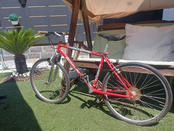Bicicletta mountain bike vintage Bianchi Ragno