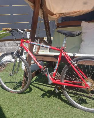 Bicicletta mountain bike vintage Bianchi Ragno