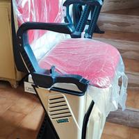 Montascale elettrico 220 V