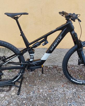 Whistle AXR C8.6 Avinox Ebike