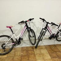 Mountain bike 24"