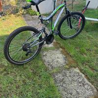 Bicicletta