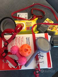 Accessori cani