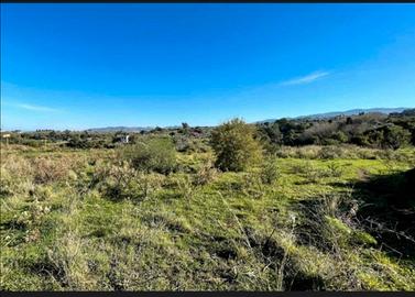 Terreno agricolo