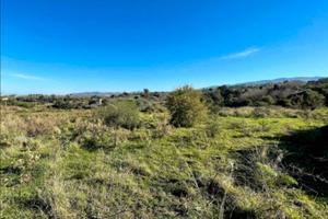 Terreno agricolo