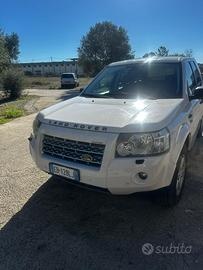 Freelander due
